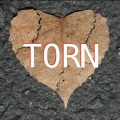 TORN