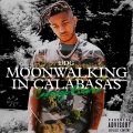 Moonwalking in Calabasas (Carnage Remix|Explicit)