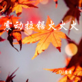 DJ酱酱 - 硬曲领域