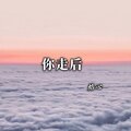焰心 - 你走后