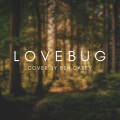 Lovebug