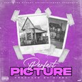 Perfect Picture (Explicit)