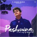 V Jackk、Mayank - Pashmina