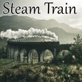 Simon Carter - Steam Train (Explicit)