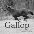 Kenneth B Jensen - Gallup