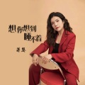 蒋婴 - 想你想到睡不着