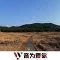 索菲亚、虞姬、圈妹、莹酱 - 白色星系 (DJ版)