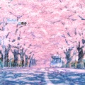 Pastel*Palettes - Seasons