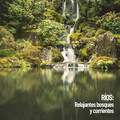 Ríos: Relajantes bosques y corrientes