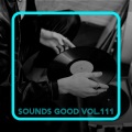 Menini & Mosconi - Holdings