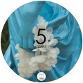 5 Years of Ampispazi Recordings