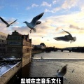在忠、河源小天 - Friendships (DJ电摇版)