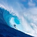 Rolf - Surfer (Explicit)