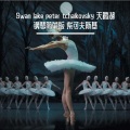 阿D - seene the swans fly over the palace grounds