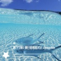 刘垚垚/阿D 夏日遐想音乐会 summertime