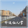 路灯 - 命运仙人掌