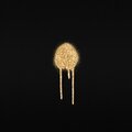 Andreas、Brett Miller - Glitter Ain't Gold (feat. Brett Miller)