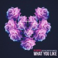 What You Like (feat. Kwesta & Kyle Deutsch)