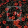 会飞的Dua - 什么是爱