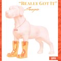 Scorpio - Really Got it (Explicit)
