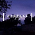 振杰先森 - See You Again (咚鼓版)