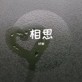 烨卿 - 相思