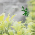 语桐 - 立春