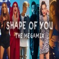 Dj fuego - Shape of You