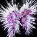 Atelier - Gossamer Wings (XeonMix)