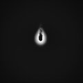 king eboy、Cadence - not a pacifist (Explicit)