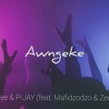Thama Tee、P-Jay - Aw'ngeke