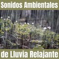 Sonidos Ambientales de Lluvia Relajante