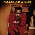 TY the Gift - Grape on a Vine (Explicit)