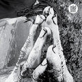 Lea Perry、Liam Bailey - Ugly Truth (Remix)