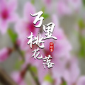 语轻寒 - 万里桃花落