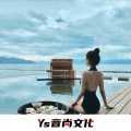 贾十七 - 过