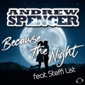 Because the Night (Radio Edit)