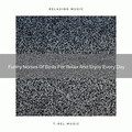 Baby Hush for Sleep - Sleepy Noise Of Animals For Chill Out And Recharge