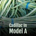 Cadillac in Model A
