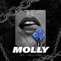zozo、VISA OG - Molly (feat. VISA OG)(Explicit)
