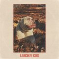 THE SPINS - Lucky Cig (Explicit)