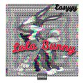Easyyy - lola bunny (Explicit)