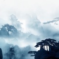 雾屿 - 昙花一现雨及时