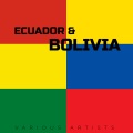 Various Artists、Arequipa - Goza la Vida