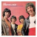 the tremeloes - Here Comes My Baby