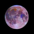 Trapmusichuh - Two Am