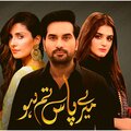 chitrali - Mere Pas Tum Ho