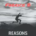 Fabrice B - Reasons