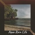 Dani W. Schmid - Aqua Rain Life