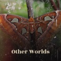 mark allaway - Distant World